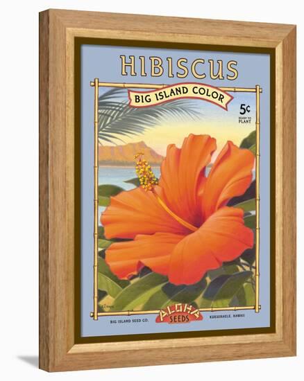 Hibiscus-Kerne Erickson-Framed Stretched Canvas