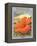 Hibiscus-Kerne Erickson-Framed Stretched Canvas