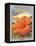 Hibiscus-Kerne Erickson-Framed Stretched Canvas