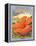 Hibiscus-Kerne Erickson-Framed Stretched Canvas