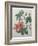 Hibiscus-Pierre-Joseph Redoute-Framed Art Print