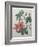 Hibiscus-Pierre-Joseph Redoute-Framed Art Print