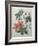 Hibiscus-Pierre-Joseph Redoute-Framed Art Print