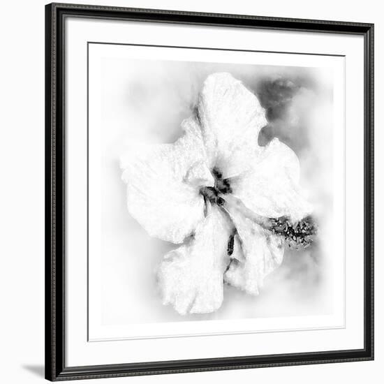 Hibiscus-Maria Trad-Framed Premium Giclee Print