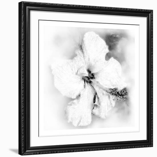 Hibiscus-Maria Trad-Framed Premium Giclee Print