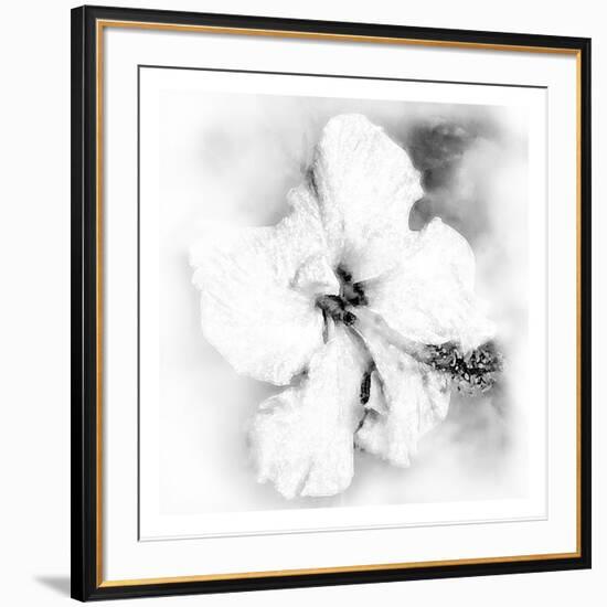 Hibiscus-Maria Trad-Framed Premium Giclee Print