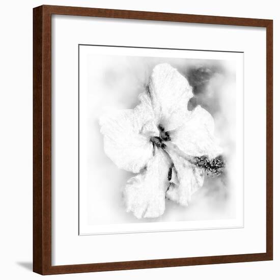 Hibiscus-Maria Trad-Framed Giclee Print