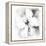 Hibiscus-Maria Trad-Framed Premier Image Canvas