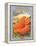 Hibiscus-Kerne Erickson-Framed Stretched Canvas