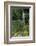 Hibiya Park, Tokyo, Japan, Asia-Richard Cummins-Framed Photographic Print