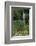 Hibiya Park, Tokyo, Japan, Asia-Richard Cummins-Framed Photographic Print