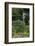 Hibiya Park, Tokyo, Japan, Asia-Richard Cummins-Framed Photographic Print