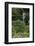 Hibiya Park, Tokyo, Japan, Asia-Richard Cummins-Framed Photographic Print