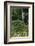 Hibiya Park, Tokyo, Japan, Asia-Richard Cummins-Framed Photographic Print