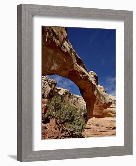 Hickman Bridge, Capitol Reef National Park, Utah, United States of America, North America-James Hager-Framed Photographic Print