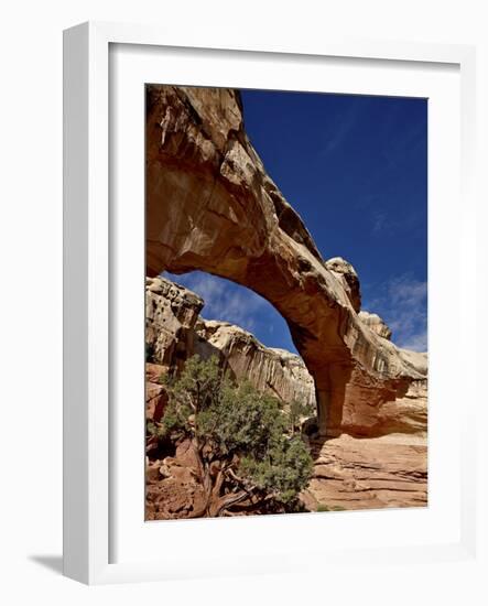 Hickman Bridge, Capitol Reef National Park, Utah, United States of America, North America-James Hager-Framed Photographic Print