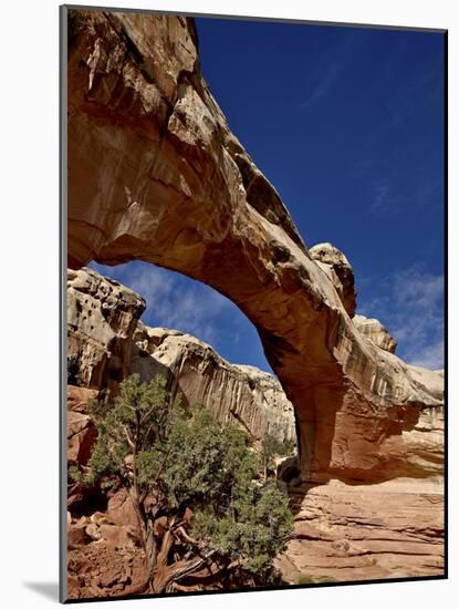 Hickman Bridge, Capitol Reef National Park, Utah, United States of America, North America-James Hager-Mounted Photographic Print