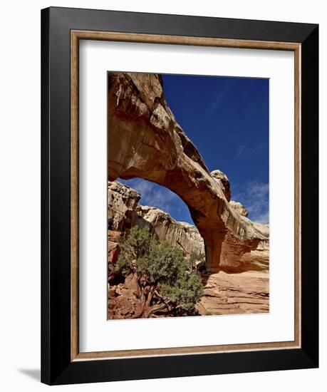 Hickman Bridge, Capitol Reef National Park, Utah, United States of America, North America-James Hager-Framed Photographic Print