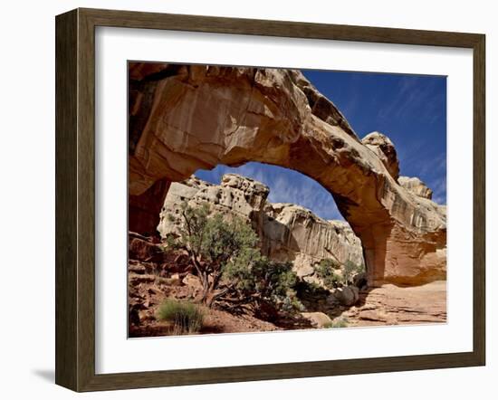 Hickman Bridge, Capitol Reef National Park, Utah, USA-James Hager-Framed Photographic Print