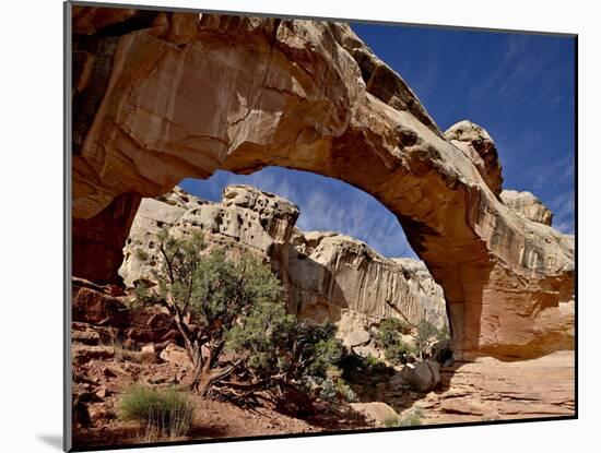 Hickman Bridge, Capitol Reef National Park, Utah, USA-James Hager-Mounted Photographic Print