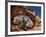 Hickman Bridge, Capitol Reef National Park, Utah, USA-James Hager-Framed Photographic Print