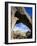 Hickman Natural Bridge, Capitol Reef National Park, Utah, USA-Charles Gurche-Framed Photographic Print