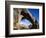 Hickman Natural Bridge, Capitol Reef National Park, Utah, USA-Charles Gurche-Framed Photographic Print