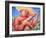 Hidalgo Campesino-Oscar Ortiz-Framed Giclee Print