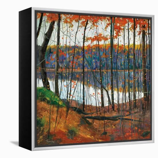 Hidden City-Graham Forsythe-Framed Stretched Canvas