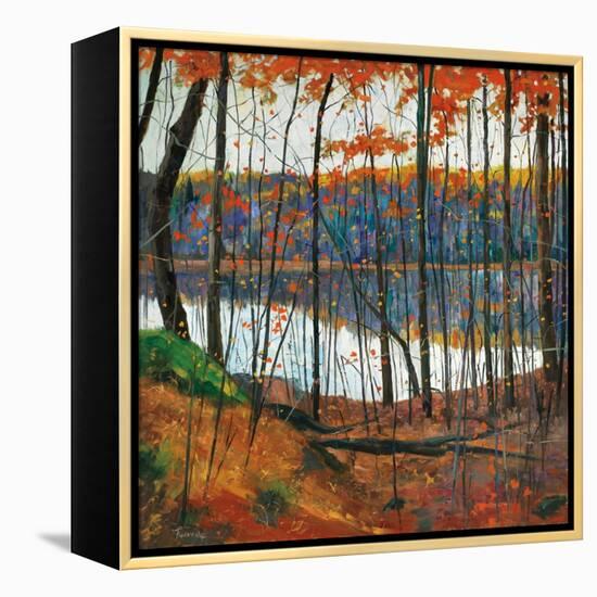 Hidden City-Graham Forsythe-Framed Stretched Canvas