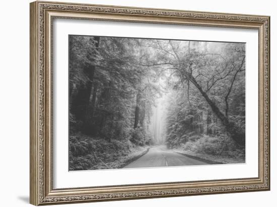 Hidden Coastal Highway, Redwood Coast California-Vincent James-Framed Photographic Print