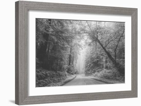 Hidden Coastal Highway, Redwood Coast California-Vincent James-Framed Photographic Print