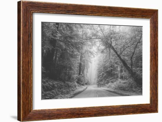 Hidden Coastal Highway, Redwood Coast California-Vincent James-Framed Photographic Print