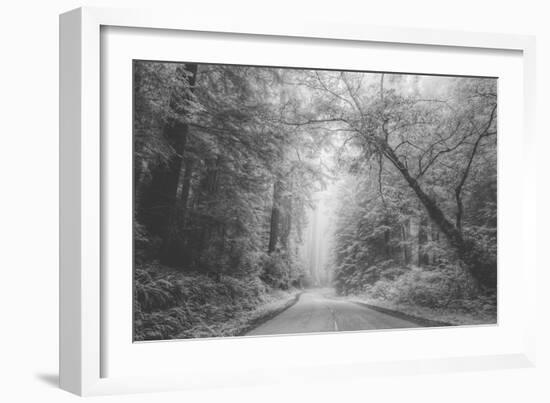 Hidden Coastal Highway, Redwood Coast California-Vincent James-Framed Photographic Print