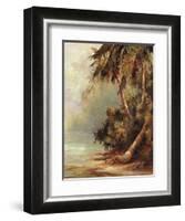 Hidden Cove-Malarz-Framed Art Print