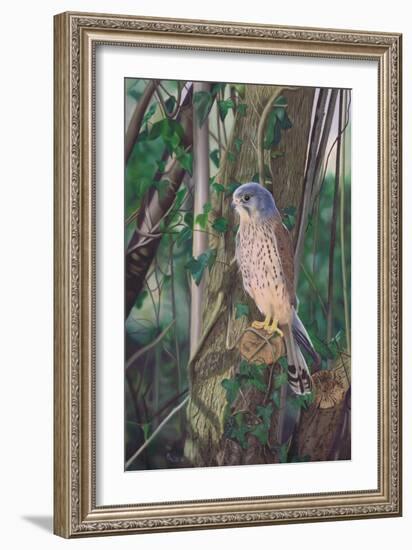 Hidden Enemy-Karie-Ann Cooper-Framed Giclee Print