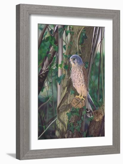 Hidden Enemy-Karie-Ann Cooper-Framed Giclee Print