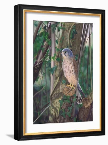 Hidden Enemy-Karie-Ann Cooper-Framed Giclee Print