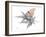 Hidden Flight 1-Albert Koetsier-Framed Photo