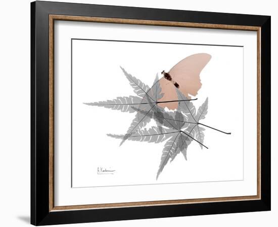 Hidden Flight 1-Albert Koetsier-Framed Photo