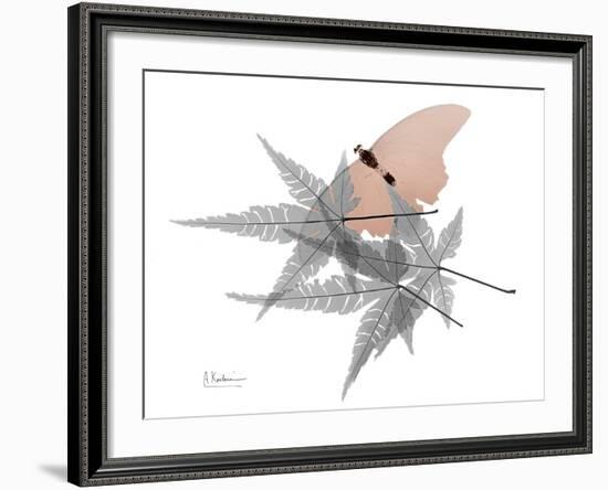 Hidden Flight 1-Albert Koetsier-Framed Photo