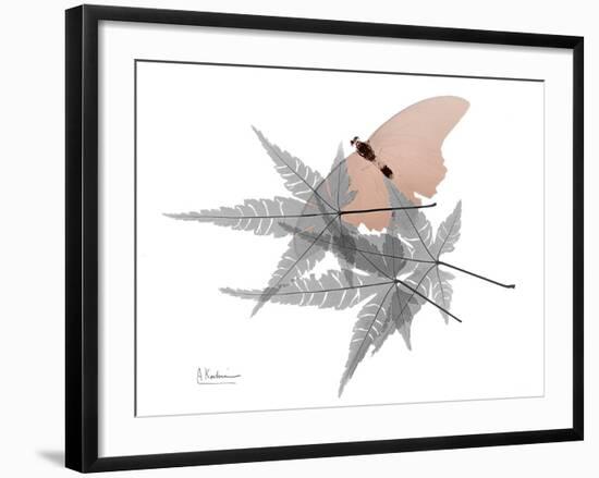 Hidden Flight 1-Albert Koetsier-Framed Photo