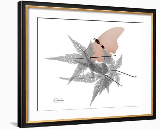 Hidden Flight 1-Albert Koetsier-Framed Photo