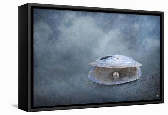 Hidden Gem-Jai Johnson-Framed Premier Image Canvas