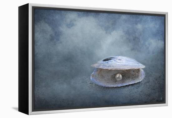 Hidden Gem-Jai Johnson-Framed Premier Image Canvas