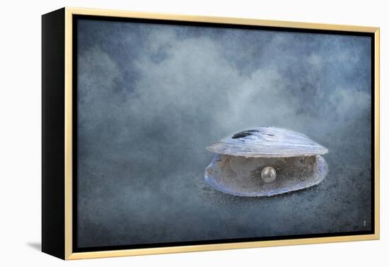 Hidden Gem-Jai Johnson-Framed Premier Image Canvas