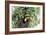 Hidden Habitat-Staffan Widstrand-Framed Giclee Print