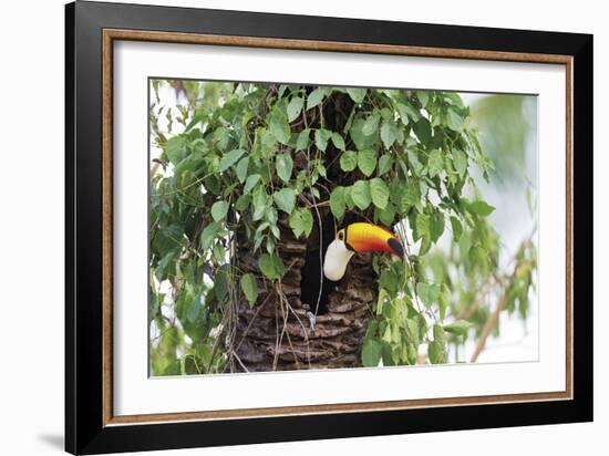 Hidden Habitat-Staffan Widstrand-Framed Giclee Print