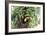 Hidden Habitat-Staffan Widstrand-Framed Giclee Print