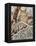 Hidden Hunter-William Vanderdasson-Framed Premier Image Canvas